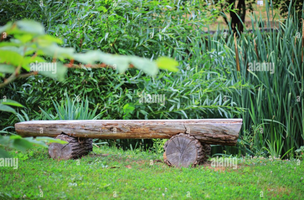 Taman Kayu dengan Sentuhan Wabi-Sabi